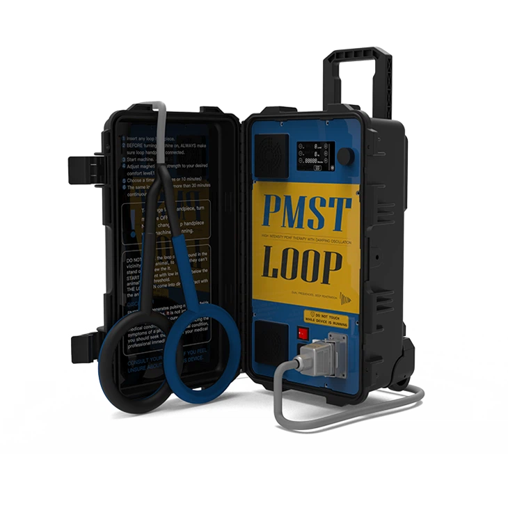 PEMF 물리 치료기