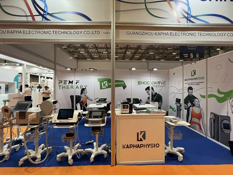 PEMF exhibition style-2001 PEMF exhibition style-2001