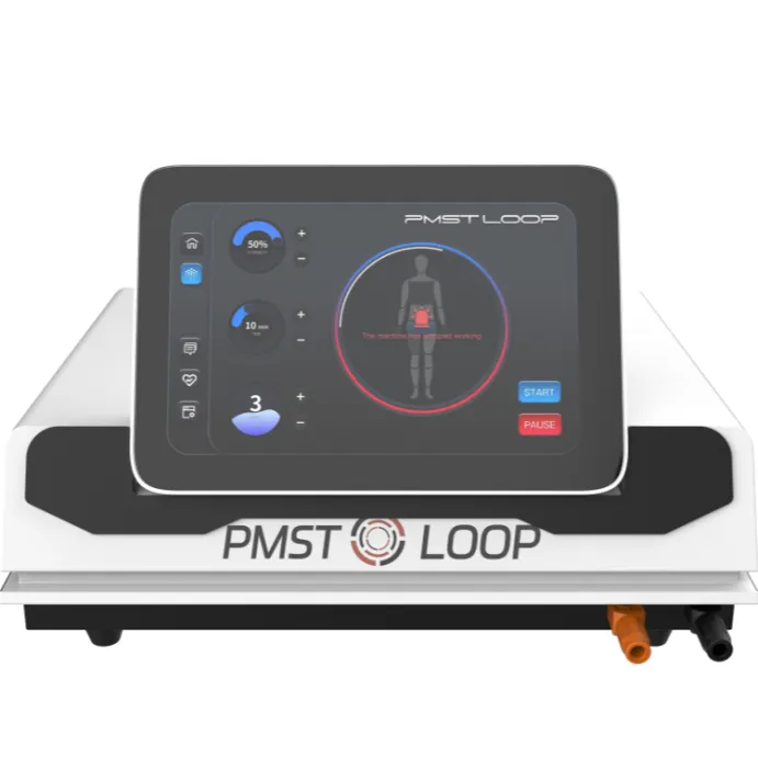 치료를 위한 PEMF 장치