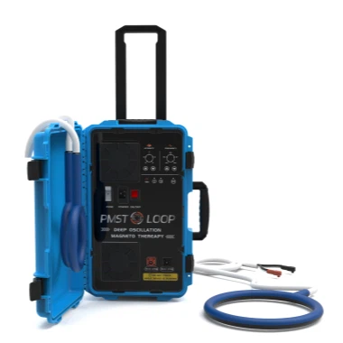 여행용 PEMF 요법